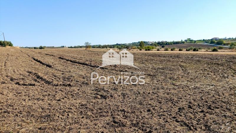 Αγροτεμάχια 6.300 τ.μ. πρός πώληση, Θεσσαλονίκη - Περιφ/Κοί Δήμοι, Επανομή