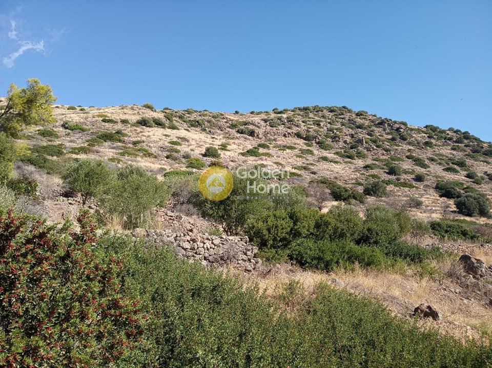Οικόπεδο 8.700 τ.μ. πρός πώληση, Νησιά Αργοσαρωνικού, Αίγινα