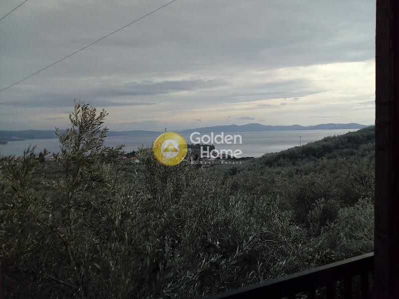 Μεζονέτα 260 τ.μ. πρός πώληση, Μαγνησία, Μηλιές