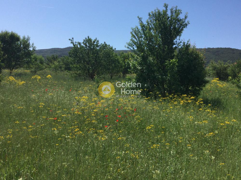 Αγροτεμάχια 6.050 τ.μ. προς ενοικίαση, Θεσσαλονίκη - Περιφ/Κοί Δήμοι, Θέρμη