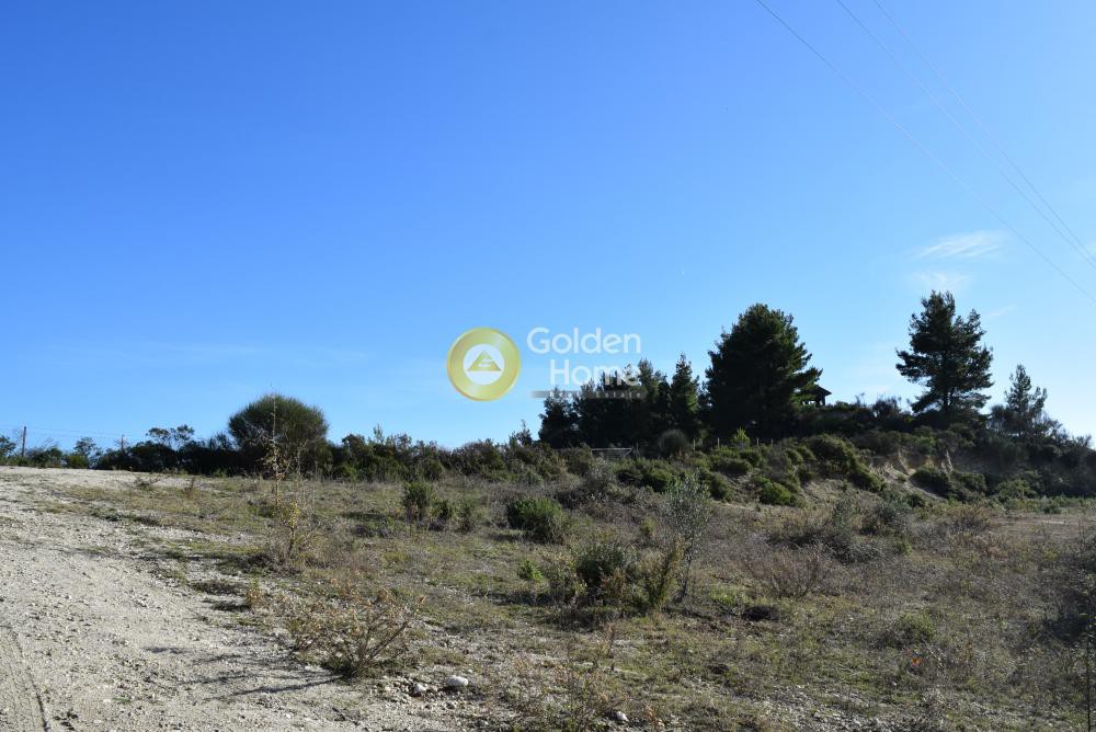 Αγροτεμάχια 4.088 τ.μ. προς πώληση, Αγία Παρασκευή Παλλήνης