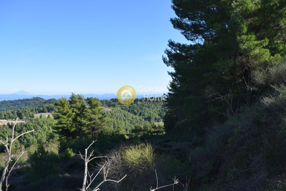 Αγροτεμάχια 4.088 τ.μ. προς πώληση, Αγία Παρασκευή Παλλήνης