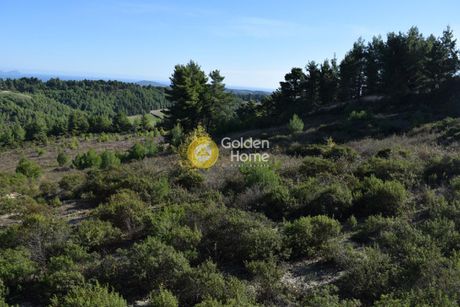 Parcel 4.088sqm for sale-Pallini » Agia Paraskevi