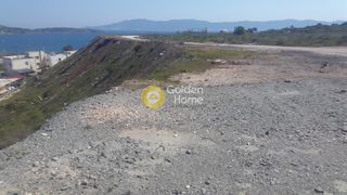 Οικόπεδο 31.500 τ.μ. για πώληση