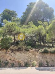 Οικόπεδο 1.010 τ.μ. για πώληση