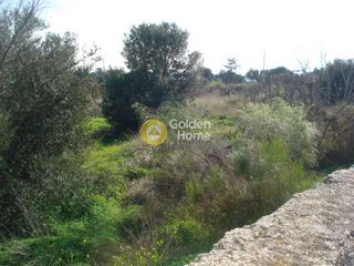 Οικόπεδο 5.000 τ.μ. για πώληση, Αττική - Υπόλοιπο, Λεγρενά-thumb-6