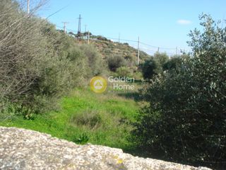 Οικόπεδο 5.000 τ.μ. για πώληση, Αττική - Υπόλοιπο, Λεγρενά-thumb-7