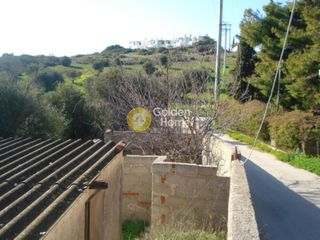 Οικόπεδο 5.000 τ.μ. για πώληση, Αττική - Υπόλοιπο, Λεγρενά-thumb-9