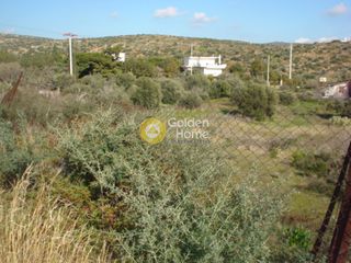 Οικόπεδο 5.000 τ.μ. για πώληση, Αττική - Υπόλοιπο, Λεγρενά-thumb-11