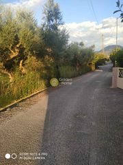 Οικόπεδο 4.650 τ.μ. για πώληση, Αχαΐα, Διακοπτό-thumb-3