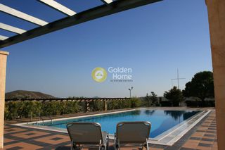 Μονοκατοικία 600 τ.μ. για ενοικίαση
