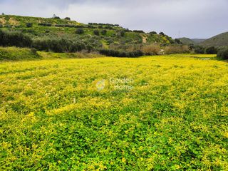 Οικόπεδο 2.674 τ.μ. για πώληση, Ν. Ηρακλείου, Γούβες-thumb-1