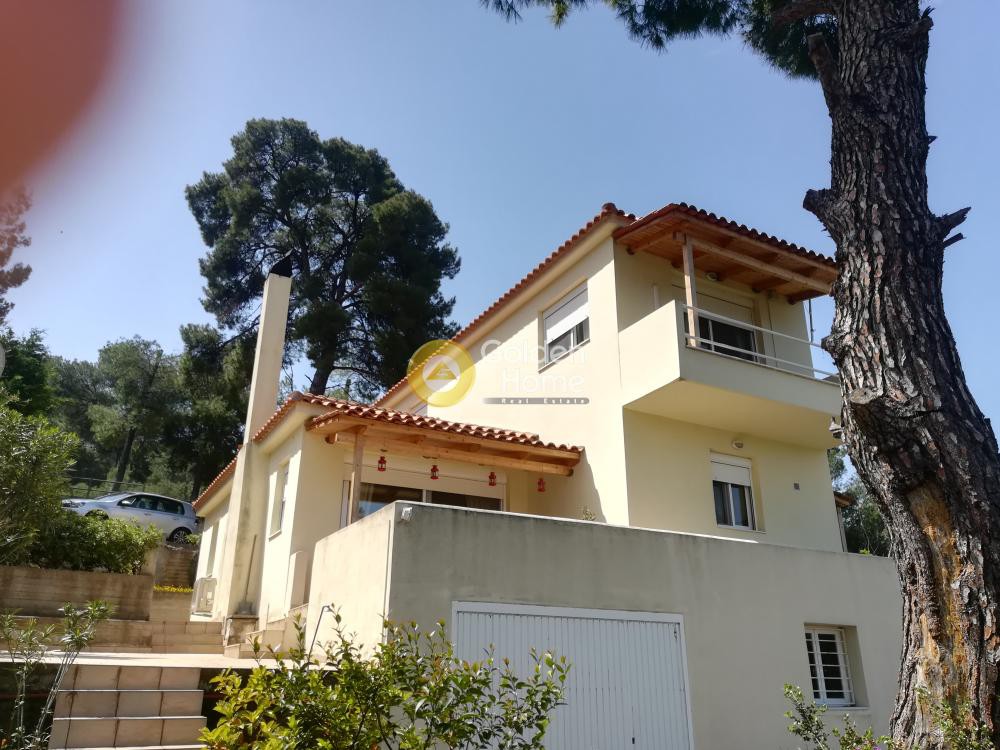 Μονοκατοικία 130 τ.μ. πρός πώληση, Φθιώτιδας, Μαλεσίνα