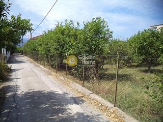 Οικόπεδο 729 τ.μ. για πώληση, Αχαΐα, Αίγιο-thumb-1