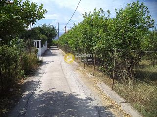 Οικόπεδο 729 τ.μ. για πώληση, Αχαΐα, Αίγιο-thumb-7
