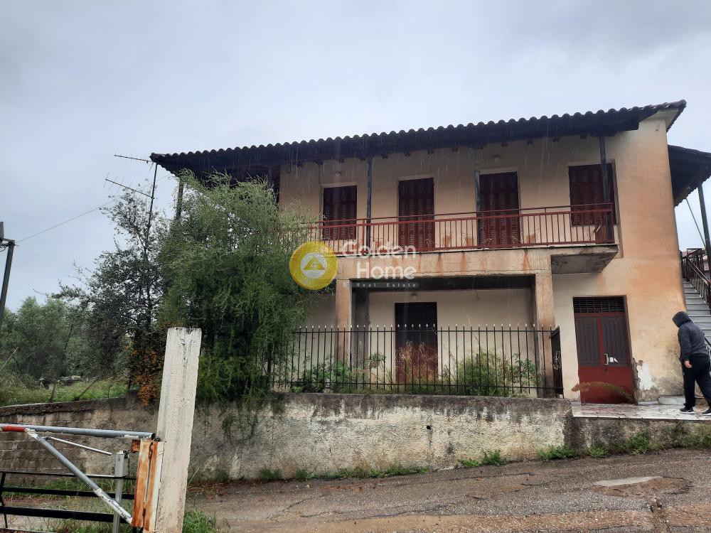 Οικόπεδο 1.000 τ.μ. πρός πώληση, Ν. Ηλείας, Αρχαία Ολυμπία