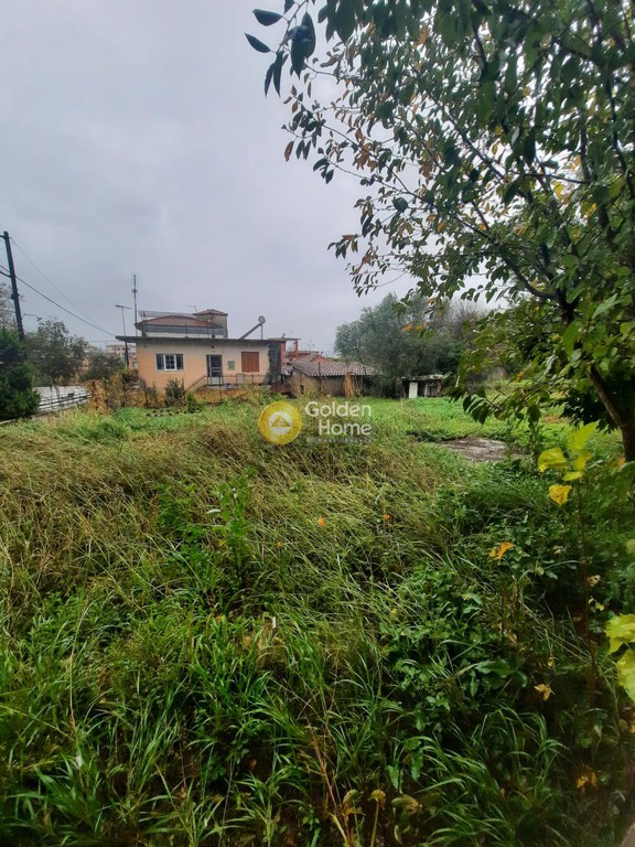 Οικόπεδο 1.000 τ.μ. πρός πώληση, Ν. Ηλείας, Αρχαία Ολυμπία