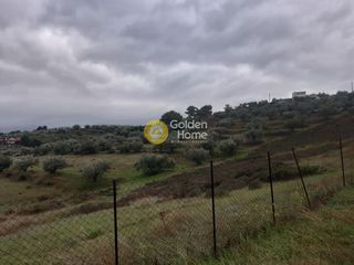Αγροτεμάχια 500 τ.μ. για πώληση, Ν. Χανίων, Κεράμια-thumb-2