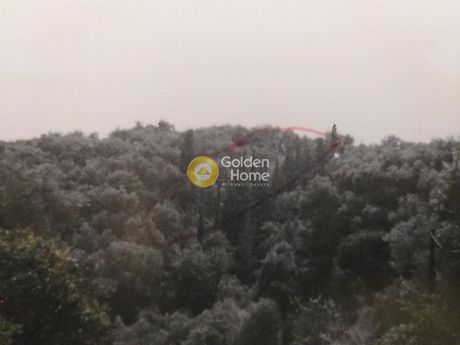 Οικόπεδο 2.493τ.μ. για πώληση-Κέρκυρα » Εσπερίες