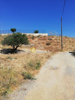 Land plot 166sqm for sale-Arkalochori » Archontiko