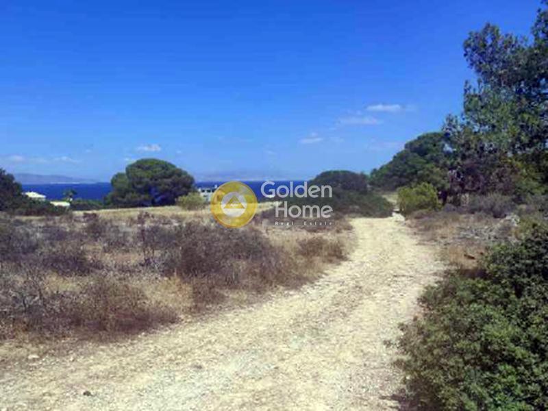 Οικόπεδο 42.976 τ.μ. πρός πώληση, Νησιά Αργοσαρωνικού, Αίγινα