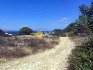 Οικόπεδο 42.976 τ.μ. για πώληση