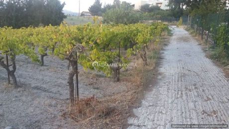 Land plot 6.000sqm for sale-Heraclion Cretes » Voutes