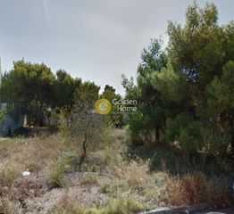 Οικόπεδο 1.054 τ.μ. για πώληση