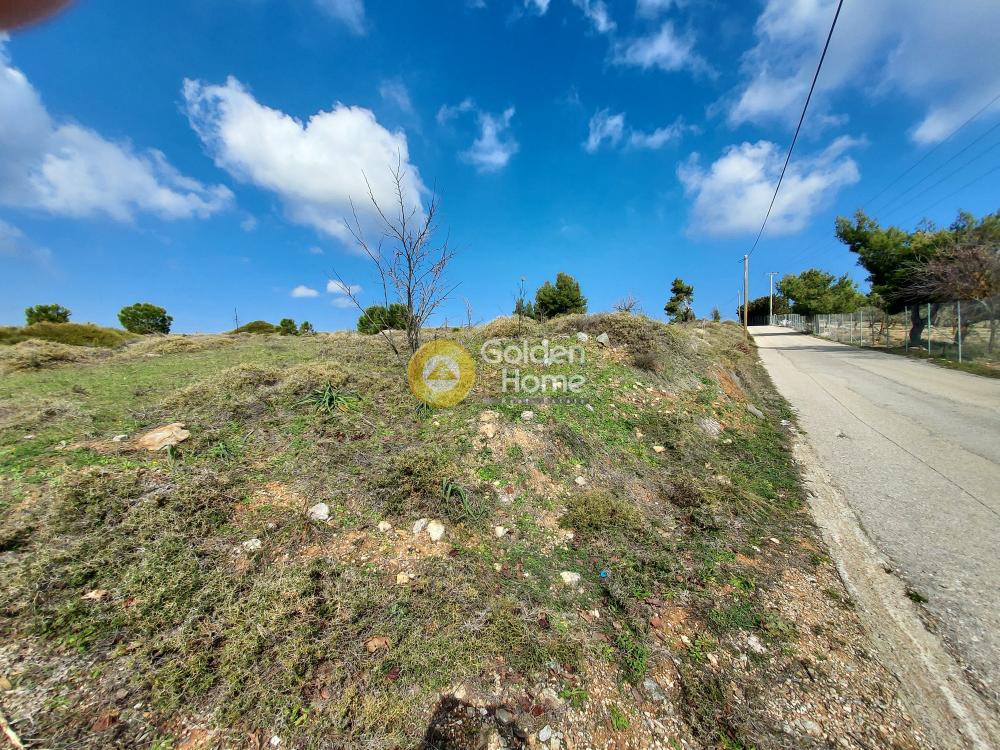 Αγροτεμάχια 10.575 τ.μ. προς πώληση, Καπανδρίτι Αττικής