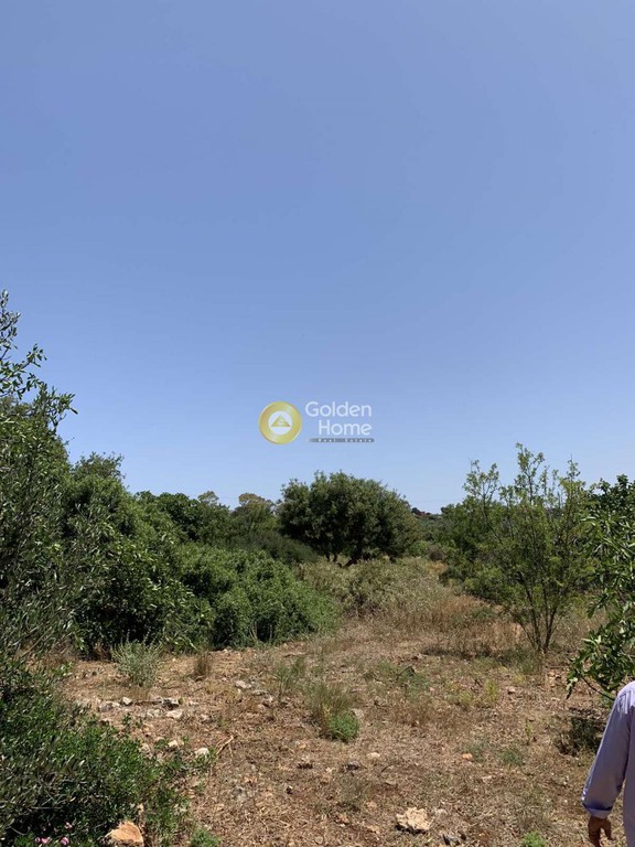 Οικόπεδο 901 τ.μ. πρός πώληση, Ν. Χανίων, Ακρωτήρι