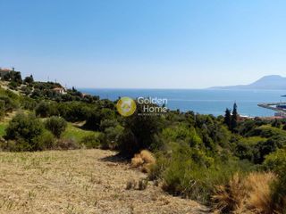 Οικόπεδο 4.000 τ.μ. για πώληση, Εύβοια, Κύμη-thumb-4