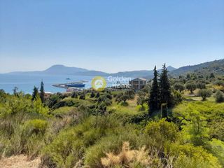 Οικόπεδο 4.000 τ.μ. για πώληση, Εύβοια, Κύμη-thumb-2