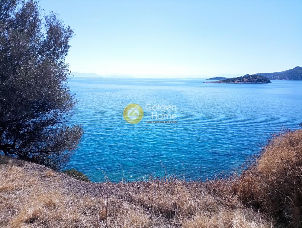 Αγροτεμάχια 27.000 τ.μ. προς πώληση, Κακή Βίγλα