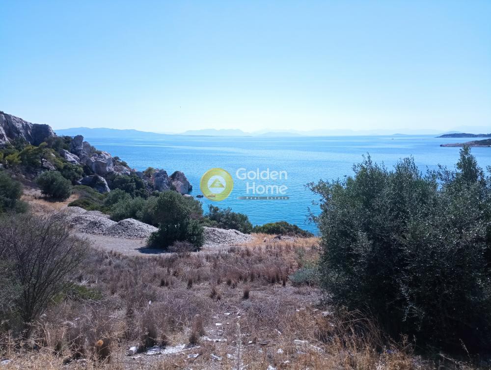 Αγροτεμάχια 27.000 τ.μ. προς πώληση, Κακή Βίγλα