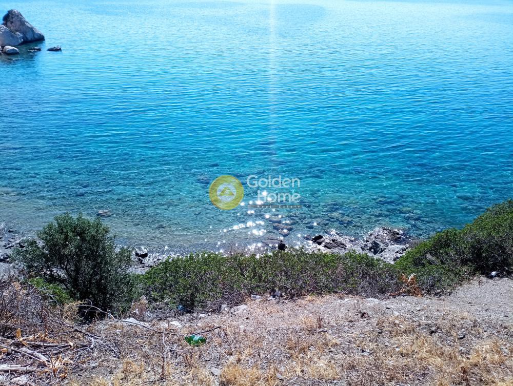Αγροτεμάχια 27.000 τ.μ. προς πώληση, Κακή Βίγλα