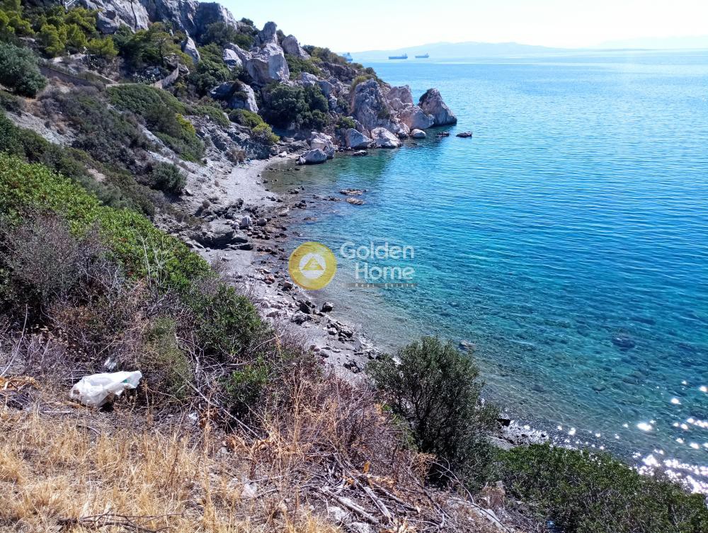 Αγροτεμάχια 27.000 τ.μ. προς πώληση, Κακή Βίγλα