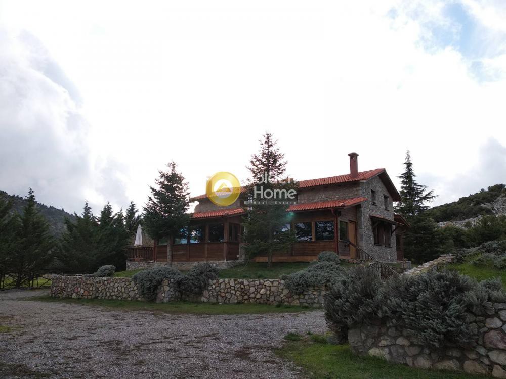 Ξενοδοχείο 470 τ.μ. προς πώληση, Καλύβια Αράχοβας