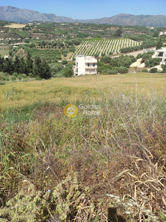 Οικόπεδο 4.071 τ.μ. προς πώληση, Αθάνατοι
