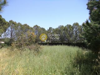 Οικόπεδο 730 τ.μ. για πώληση, Αχαΐα, Αίγιο-thumb-2
