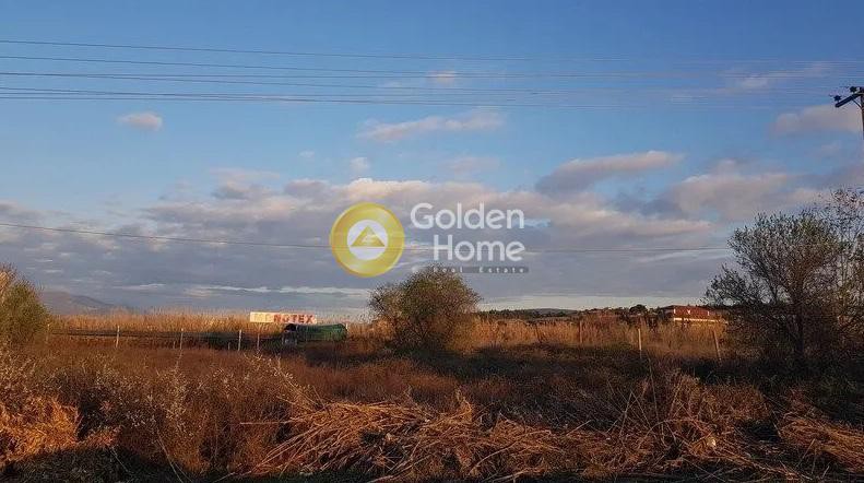 Αγροτεμάχια 1.634 τ.μ. προς πώληση, Νέο Ρύσιο