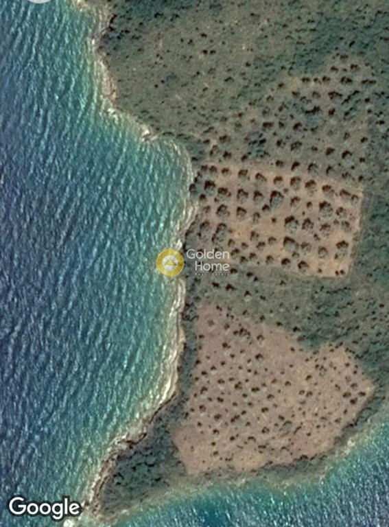 Αγροτεμάχια 11.349 τ.μ. προς πώληση, Περιστέρα Αλοννήσου