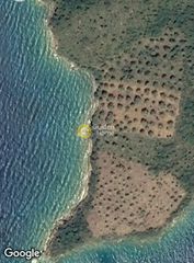 Αγροτεμάχια 11.349 τ.μ. για πώληση