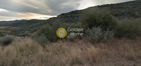 Parcel 11.263sqm for sale-Skala » Stefania