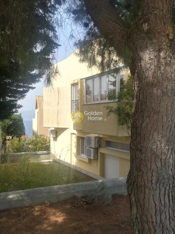 Μονοκατοικία 100 τ.μ. προς ενοικίαση, Θεολόγος Μαλεσίνας