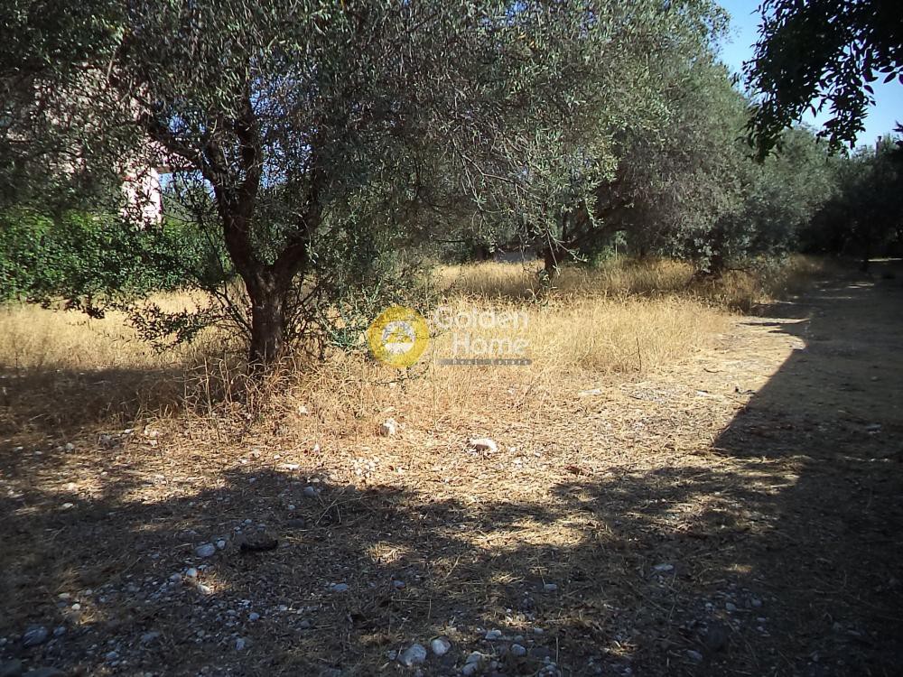 Οικόπεδο 1.159 τ.μ. προς πώληση, Αχαΐα, Διακοπτό