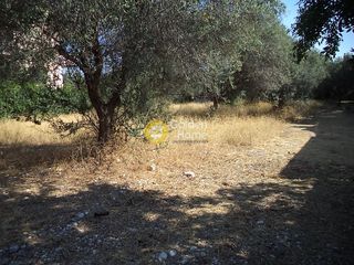 Οικόπεδο 1.159 τ.μ. για πώληση, Αχαΐα, Διακοπτό-thumb-3