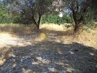 Οικόπεδο 1.159 τ.μ. για πώληση, Αχαΐα, Διακοπτό-thumb-7