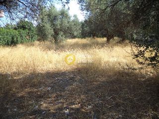 Οικόπεδο 1.159 τ.μ. για πώληση, Αχαΐα, Διακοπτό-thumb-6