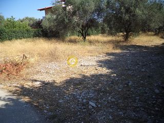 Οικόπεδο 1.159 τ.μ. για πώληση, Αχαΐα, Διακοπτό-thumb-2