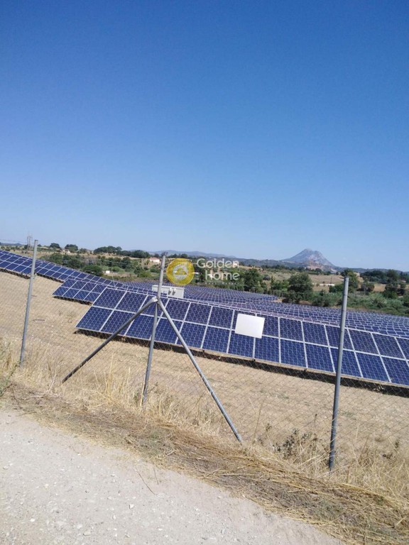 Αγροτεμάχια 33.000 τ.μ. προς πώληση, Άγιος Νικόλαος Πηνείας